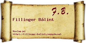 Fillinger Bálint névjegykártya